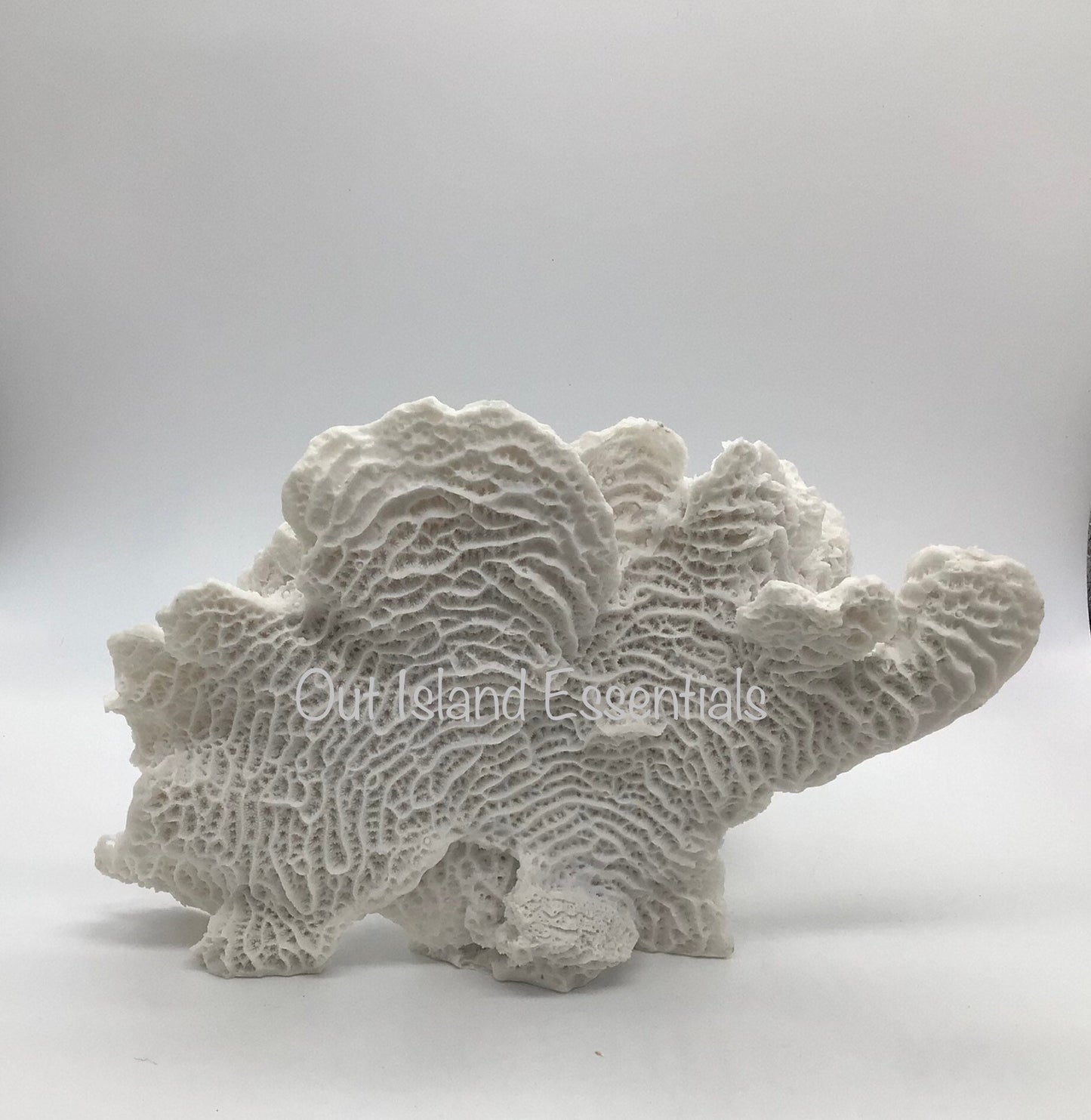 Mounted Faux Rugosa Coral, Eco Friendly Coral, Faux White Rugosa Coral Decor