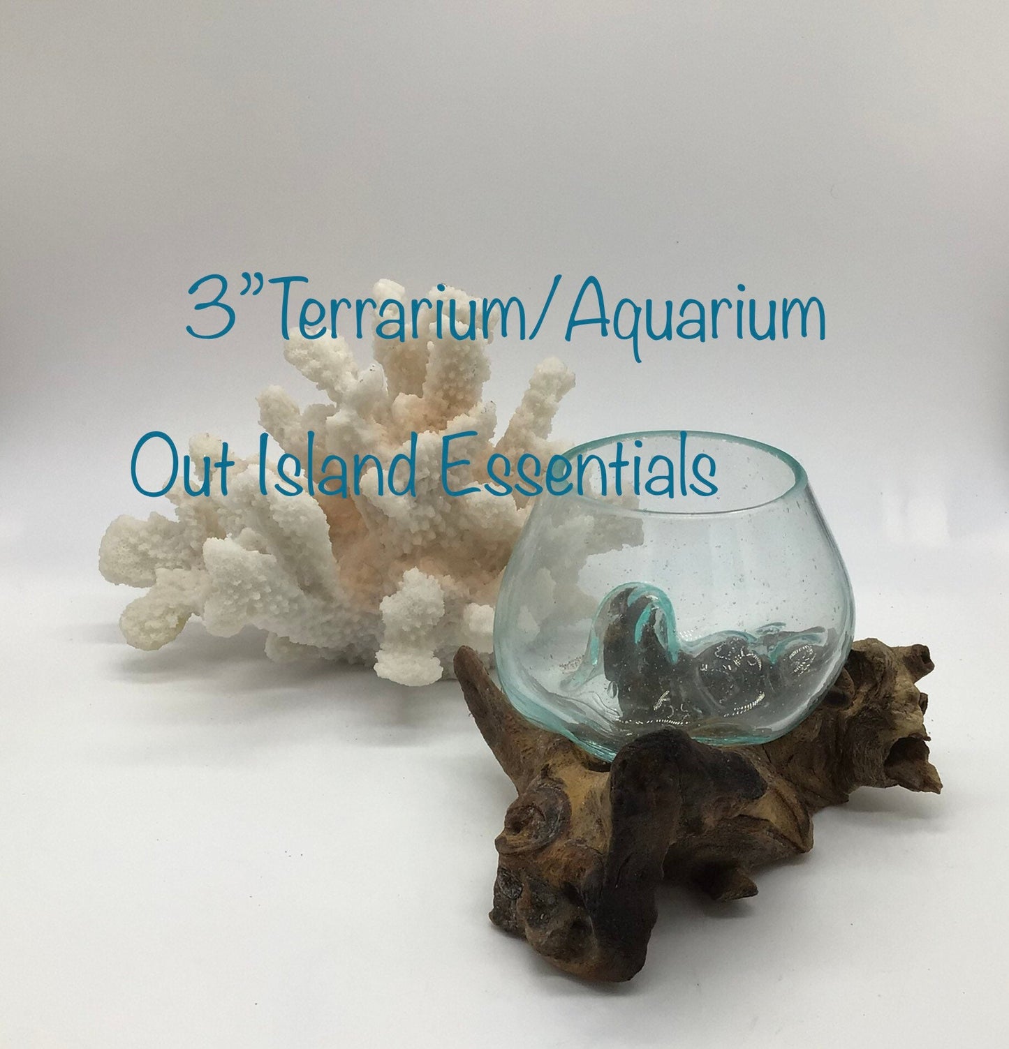 3" Blown Glass On Driftwood, Glass Terrariums, One Of A Kind Pieces