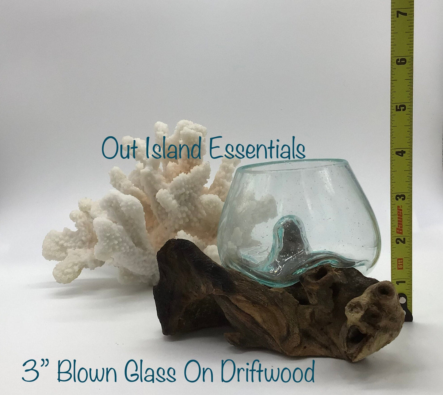 3" Blown Glass On Driftwood, Glass Terrariums, One Of A Kind Pieces