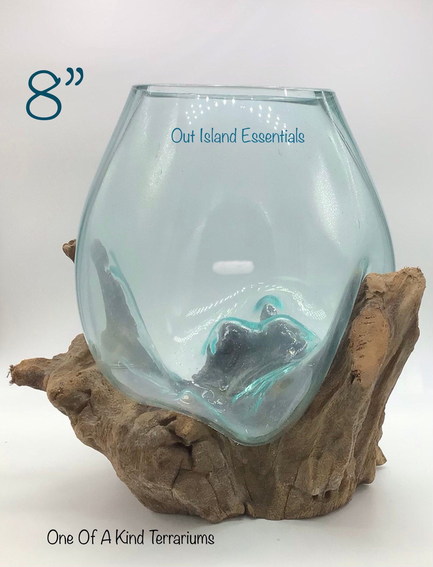 8" Blown Glass On Driftwood, Glass Terrariums, One Of A Kind Pieces