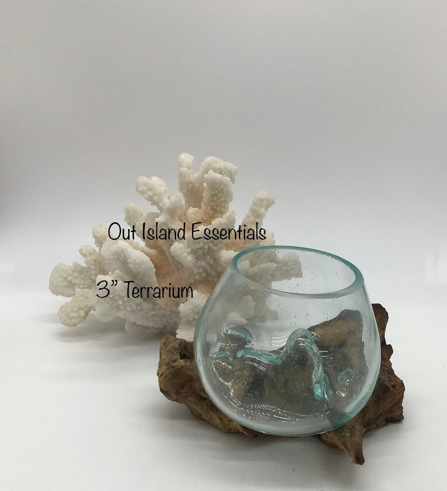 3" Blown Glass On Driftwood, Glass Terrariums, One Of A Kind Pieces