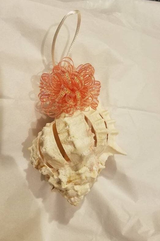 Pink Murex Shell Christmas Ornament, Seashell Christmas Ornament, Seashell Ornament, Shell Ornament