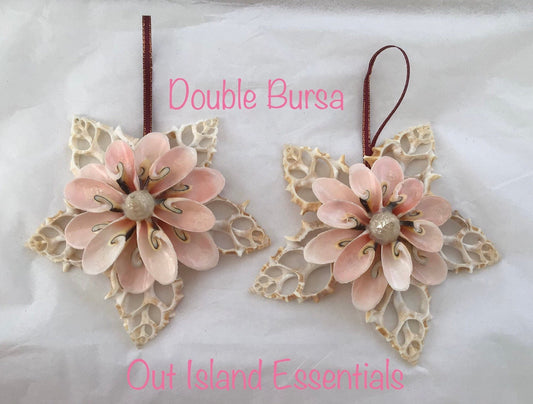 Double Bursa Snowflake | Seashell Ornament | Seashell Christmas Ornament | Nautical Ornament | Coastal Ornament | Coastal Christmas