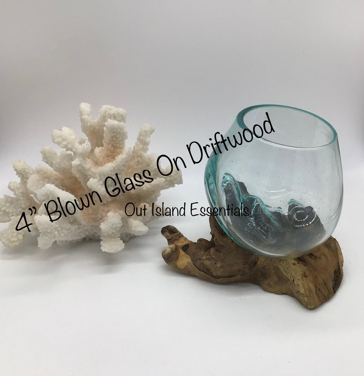 4" Blown Glass On Driftwood I Glass Terrariums I Terrarium Container I One Of A Kind Pieces