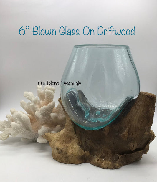 6" Blown Glass On Driftwood I Glass Terrariums I Terrarium Container I One Of A Kind Pieces