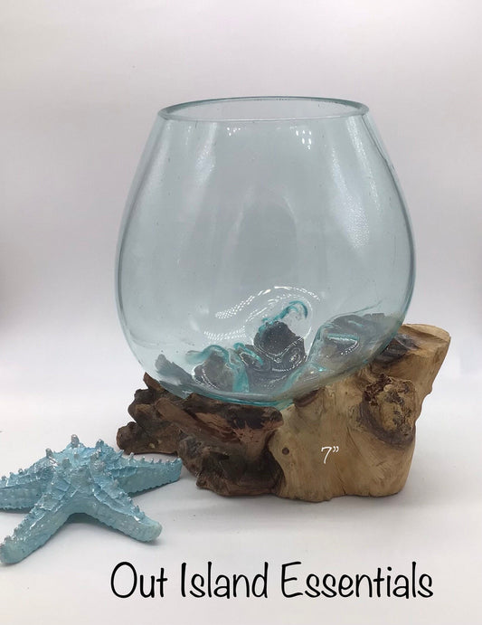 7" Blown Glass On Driftwood I Glass Terrariums I Terrarium Container I One Of A Kind Pieces