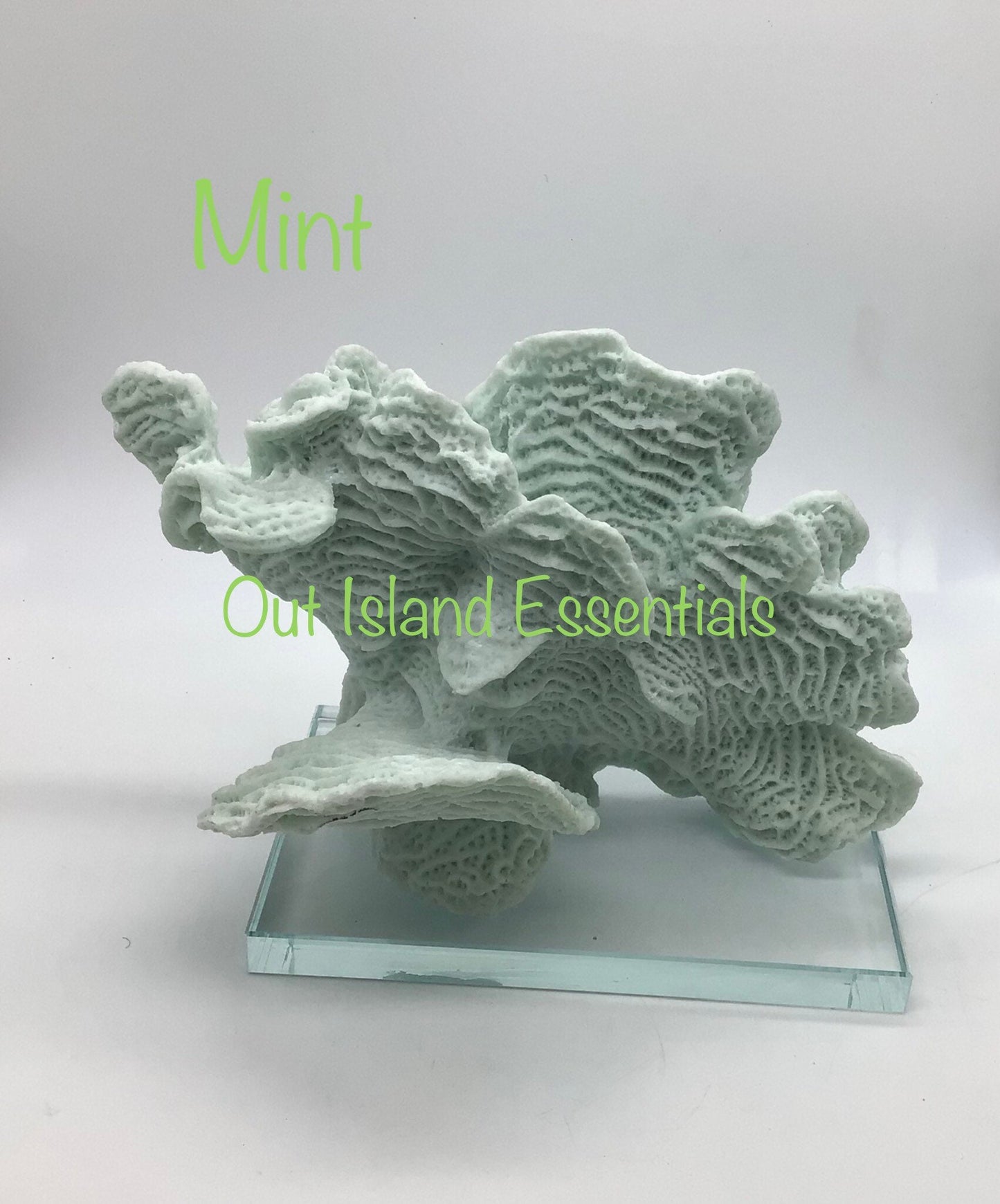 Mounted Faux Rugosa Coral, Eco Friendly Coral, Faux White Rugosa Coral Decor