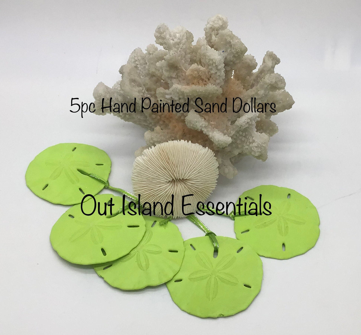 5 Pc. Hand Painted Sand Dollar Christmas Ornament I Coastal Christmas Ornament I Sand Dollar Ornament With Accent Ribbon