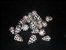 Medium Hebrew Cone I Conus Ebraeus I Cone Shells I Black & White Shells I Size 1" Craft Shells I Wholesale Cone Shells I FIVE Craft Shells