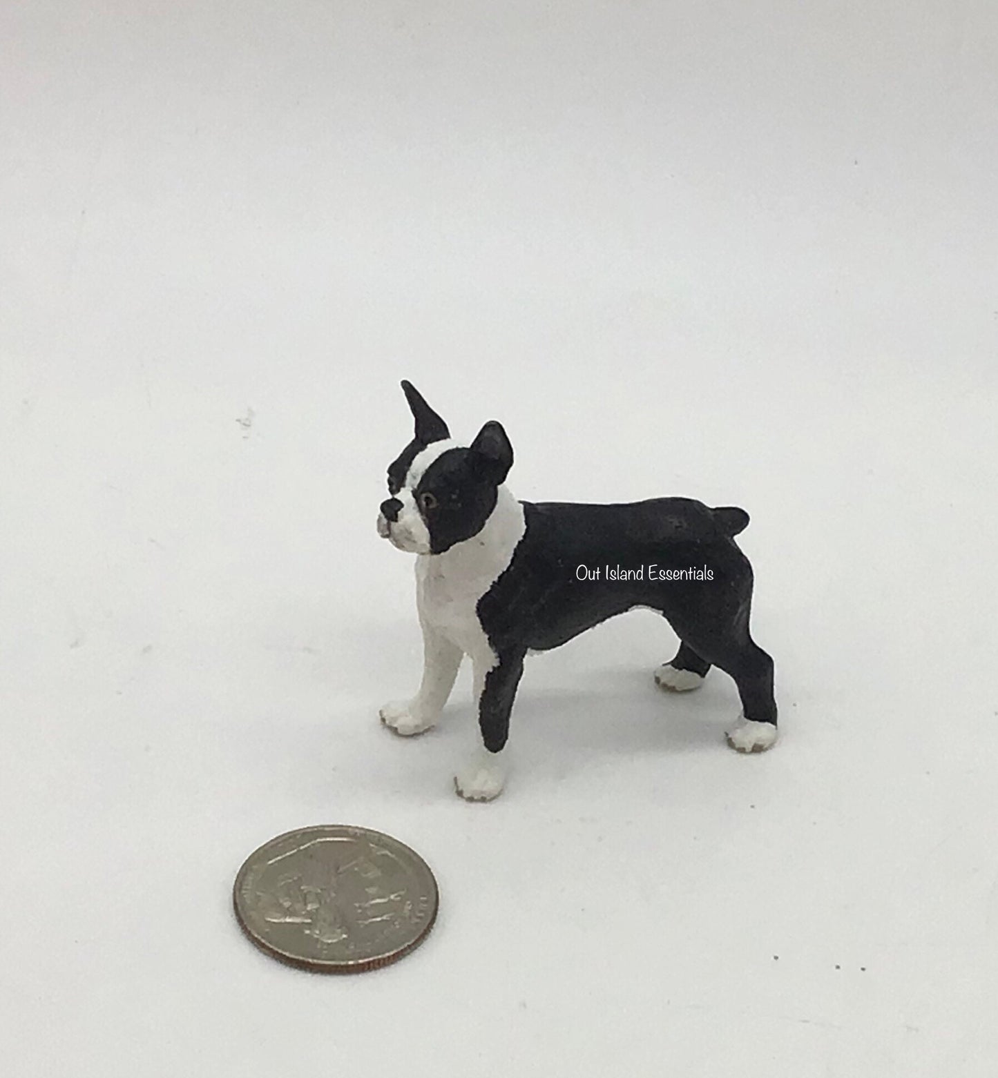 Miniature Boston Terrier Dog I Dollhouse Miniature Pet I Miniature Furry Pets I Miniature Terrier Dog