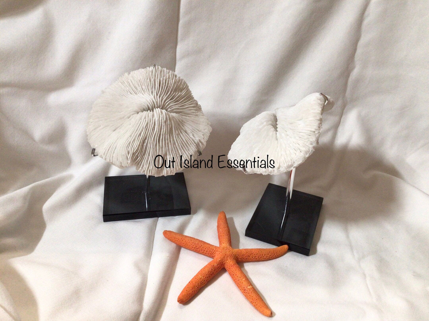 Faux Mushroom Coral Display I White Mushroom Coral I Faux Ocean Coral I  5 1/2” Mushroom Coral |  Faux White Coral I White Display Coral