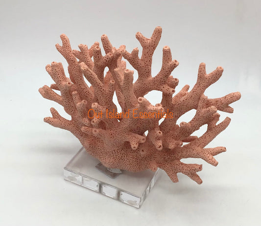 Faux Orange Coral Display, Eco Friendly Coral Display, Orange Finger Coral Decor