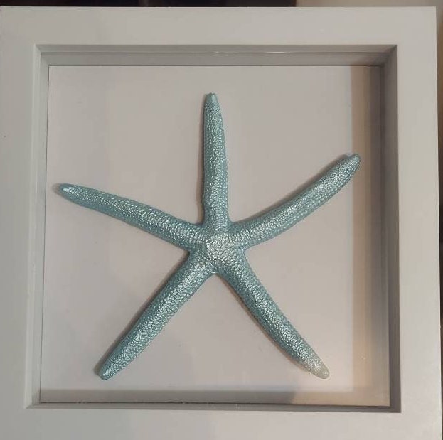 Shadow Box Starfish I Coastal Wall Decor I Coastal Beach Picture I Coastal Shadow Box I Coastal Frame