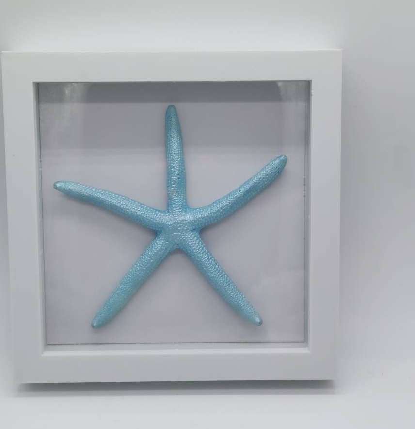 Shadow Box Starfish I Coastal Wall Decor I Coastal Beach Picture I Coastal Shadow Box I Coastal Frame