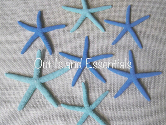 Finger Starfish I 3”4” Colored Starfish I Starfish Decoration I Coastal Decorations Coastal Colored Painted Starfish