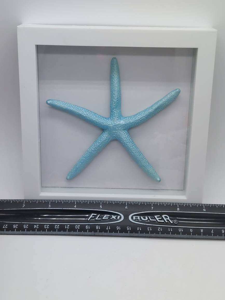 Shadow Box Starfish I Coastal Wall Decor I Coastal Beach Picture I Coastal Shadow Box I Coastal Frame