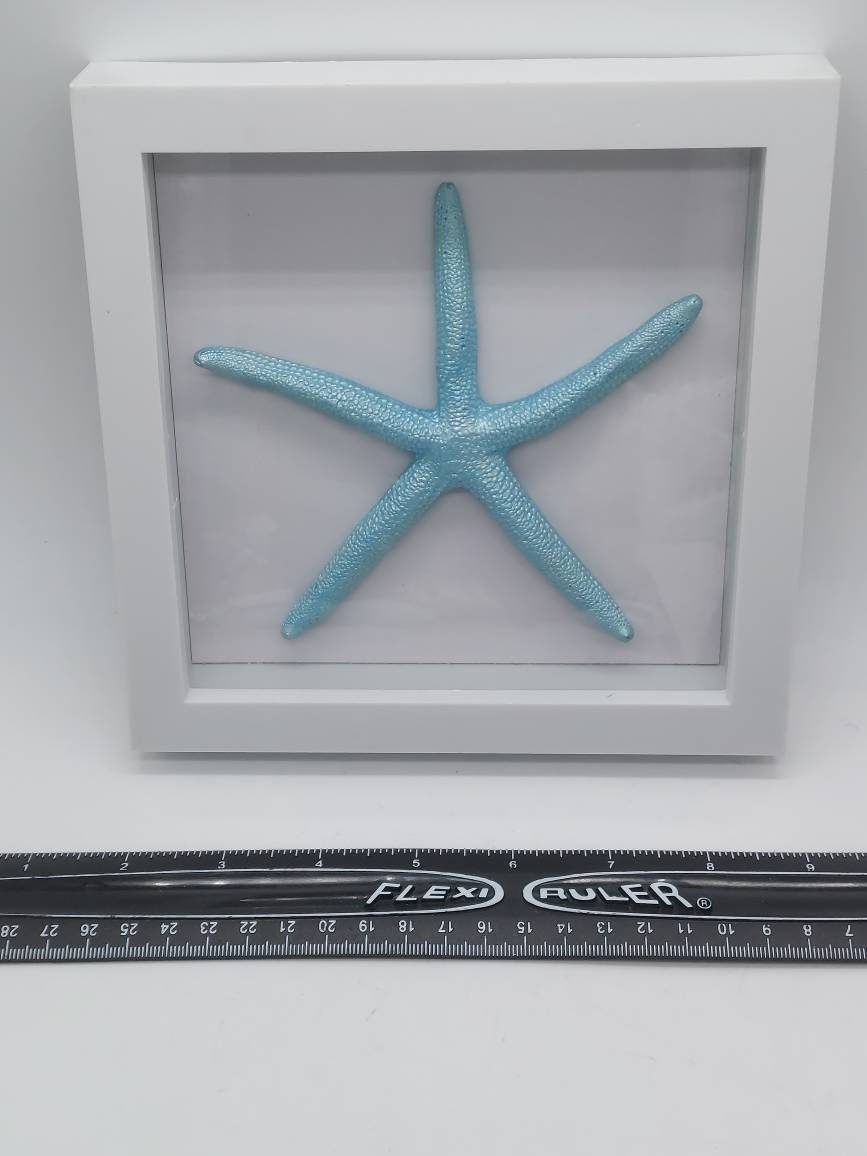 Shadow Box Starfish I Coastal Wall Decor I Coastal Beach Picture I Coastal Shadow Box I Coastal Frame