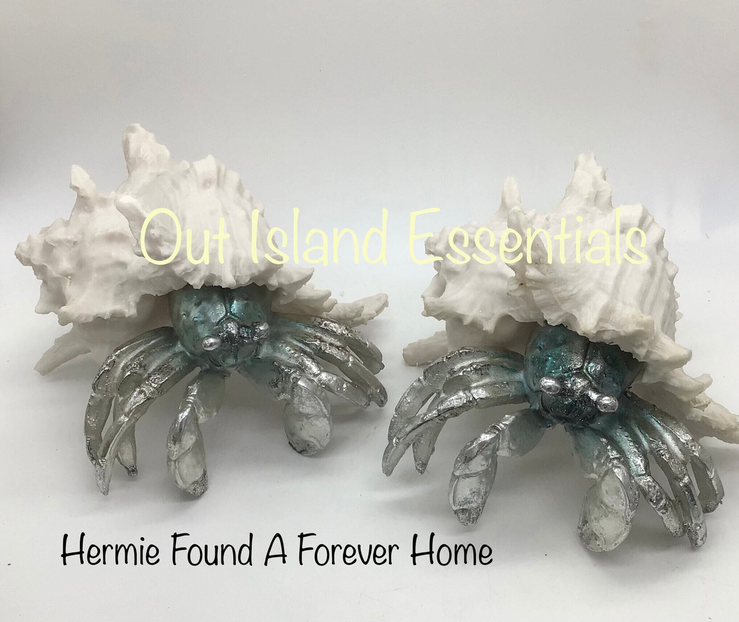 Hermit Crab In Hiding Statue I Hermit Crab Lover I Hermit Crab Decor I Hermit Crab Coastal Decor