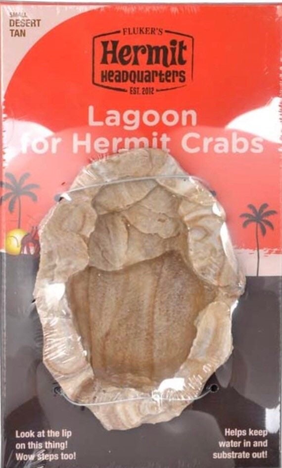 Hermit Crab Lagoon Feeding Bowl | Lagoon For Hermit Crab | Hermit Pool | Hermit Feeding Bowl