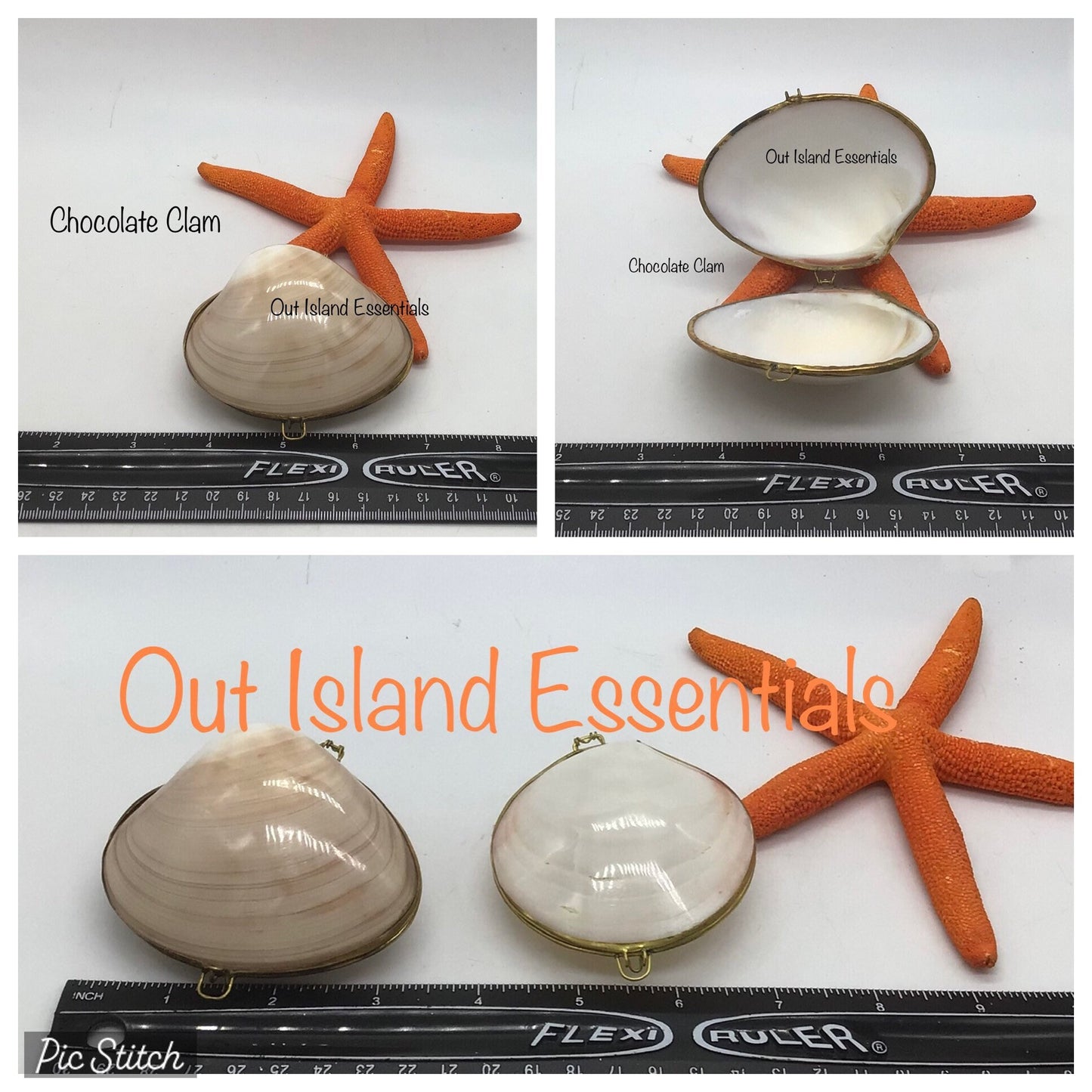 Seashell Coin Purse I Seashell Pill Box I Seashell Ring Holder I Shell Purse I Coastal Wedding Ring Pillow I Seashell Trinket Box