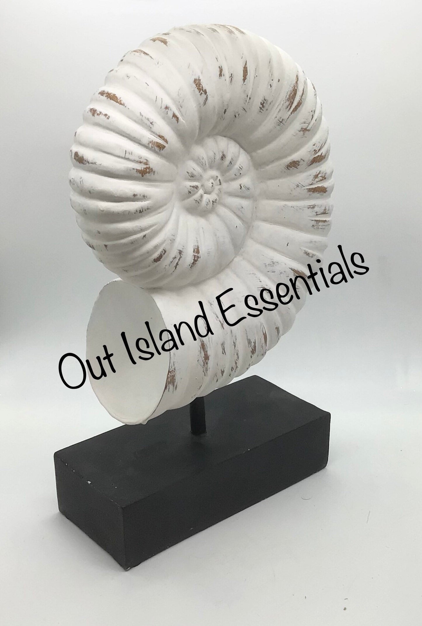 Faux Nautilus Shell I Distressed Resin Nautilus Seashell I Eco-Friendly Nautilus Shell I Faux Seashell Display