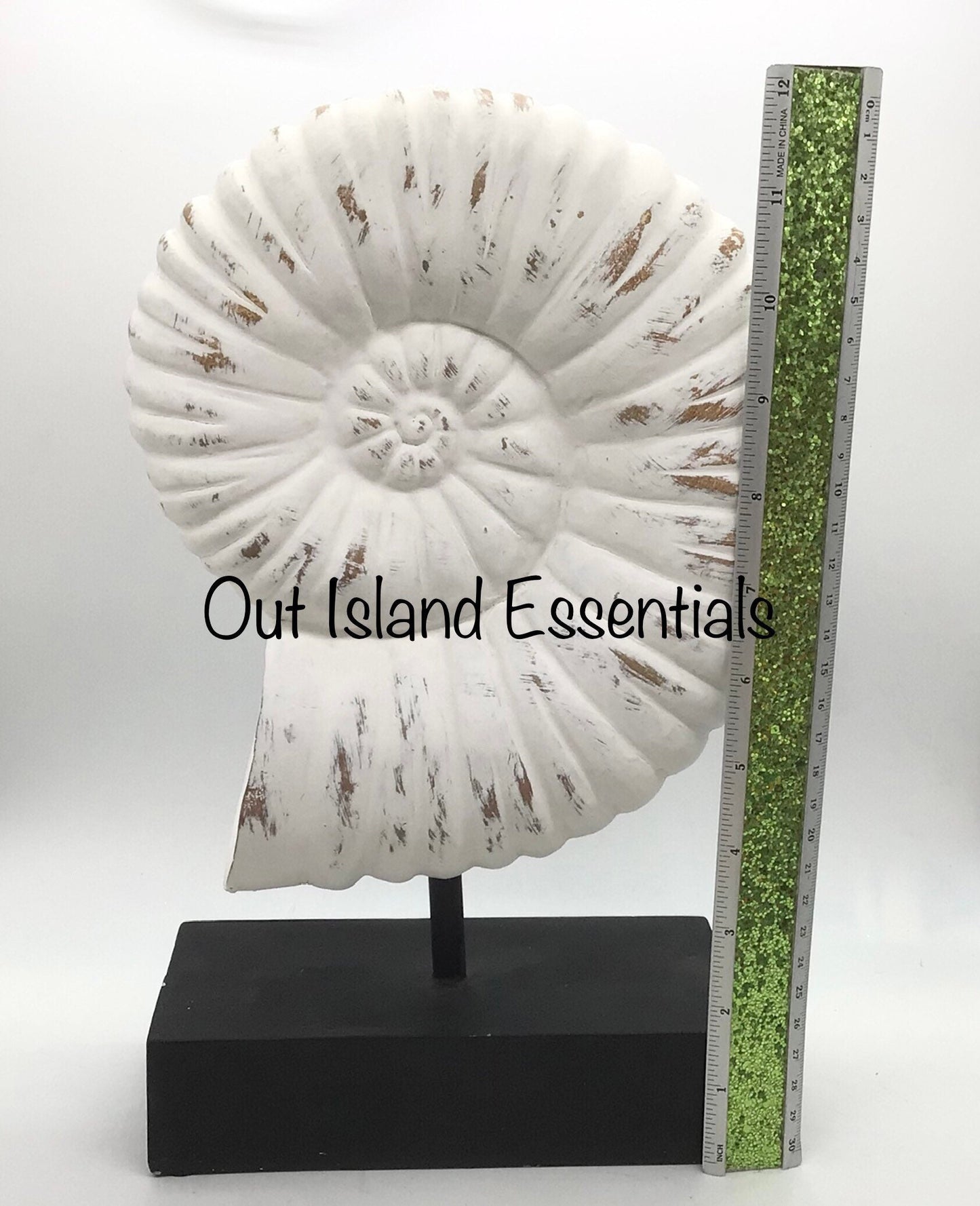 Faux Nautilus Shell I Distressed Resin Nautilus Seashell I Eco-Friendly Nautilus Shell I Faux Seashell Display