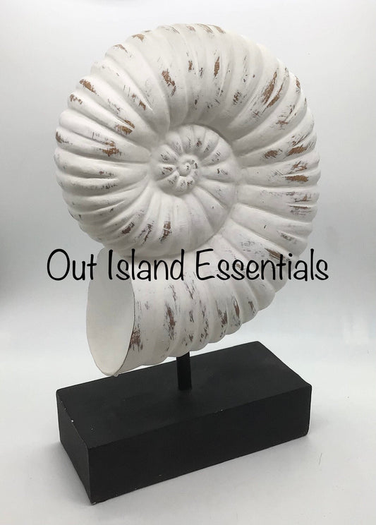 Faux Nautilus Shell I Distressed Resin Nautilus Seashell I Eco-Friendly Nautilus Shell I Faux Seashell Display