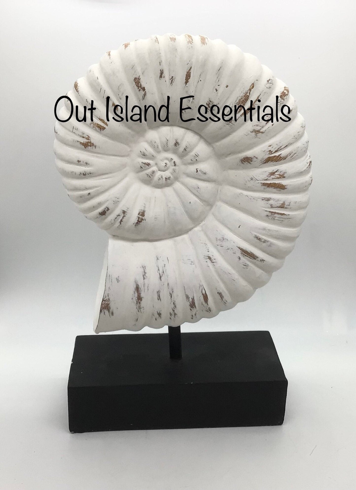 Faux Nautilus Shell I Distressed Resin Nautilus Seashell I Eco-Friendly Nautilus Shell I Faux Seashell Display