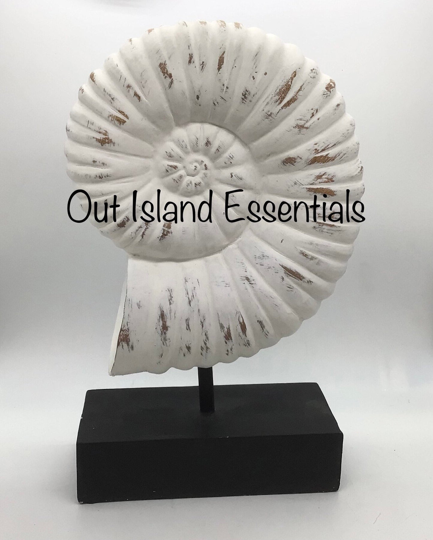 Faux Nautilus Shell I Distressed Resin Nautilus Seashell I Eco-Friendly Nautilus Shell I Faux Seashell Display