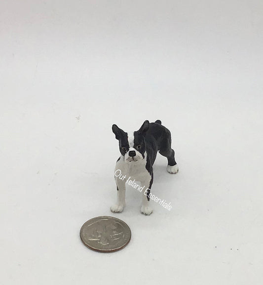 Miniature Boston Terrier Dog I Dollhouse Miniature Pet I Miniature Furry Pets I Miniature Terrier Dog