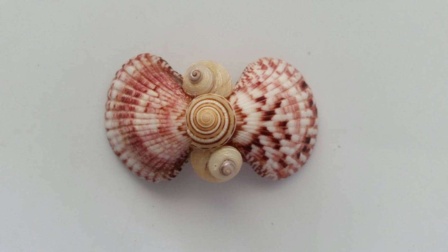 Seashell Hair Clip I Mermaid Hair Clip I Clam Shell Hair Clip I Coastal Clip I Shell Hair Clip I Hair Accessories