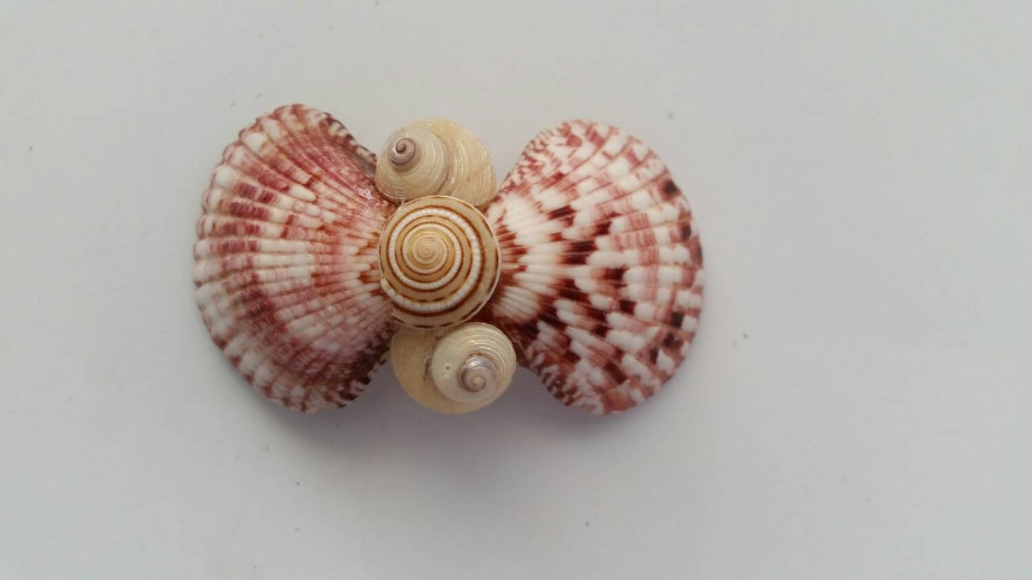 Seashell Hair Clip I Mermaid Hair Clip I Clam Shell Hair Clip I Coastal Clip I Shell Hair Clip I Hair Accessories