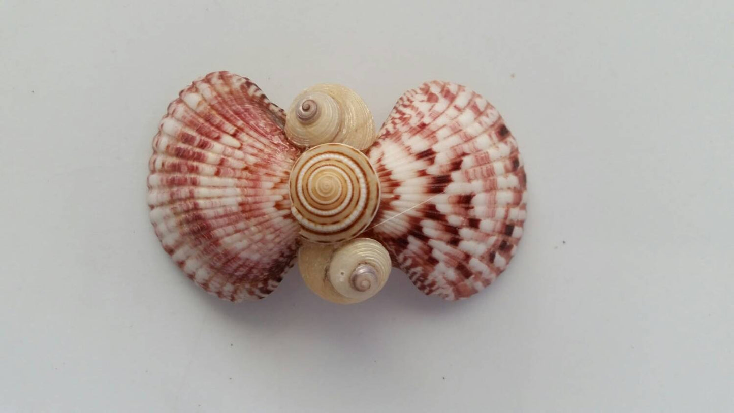 Seashell Hair Clip I Mermaid Hair Clip I Clam Shell Hair Clip I Coastal Clip I Shell Hair Clip I Hair Accessories